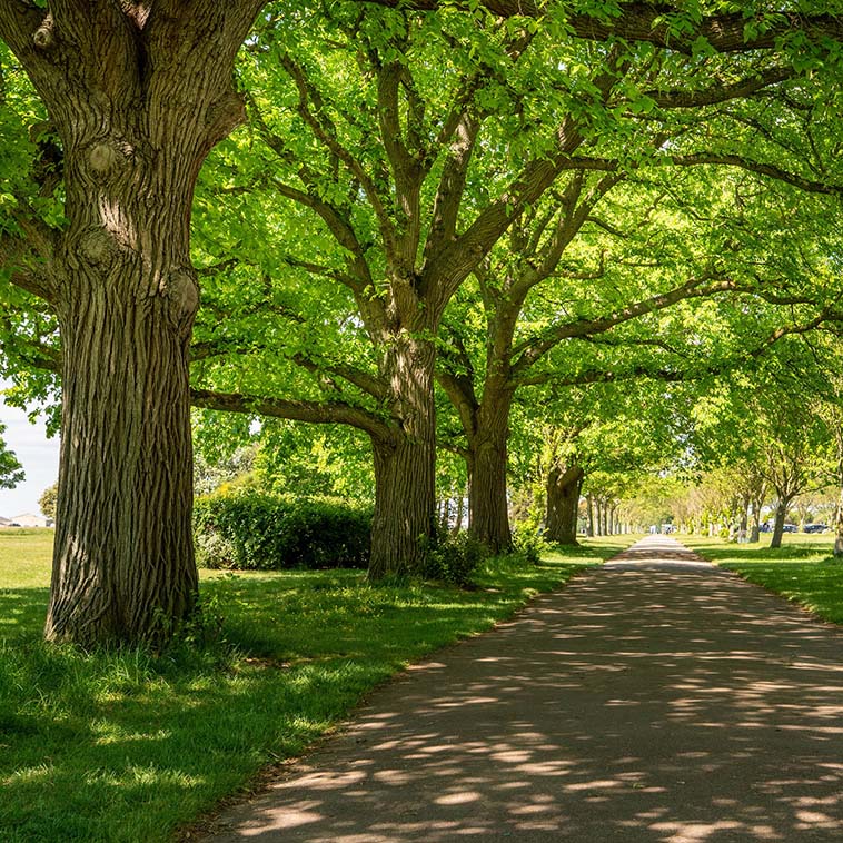 Chinneck Shaw - Portsmouth Area Guide - Green Spaces 1
